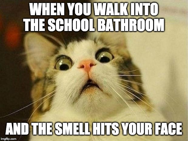 Scared Cat | WHEN YOU WALK INTO THE SCHOOL BATHROOM; AND THE SMELL HITS YOUR FACE | image tagged in memes,scared cat | made w/ Imgflip meme maker