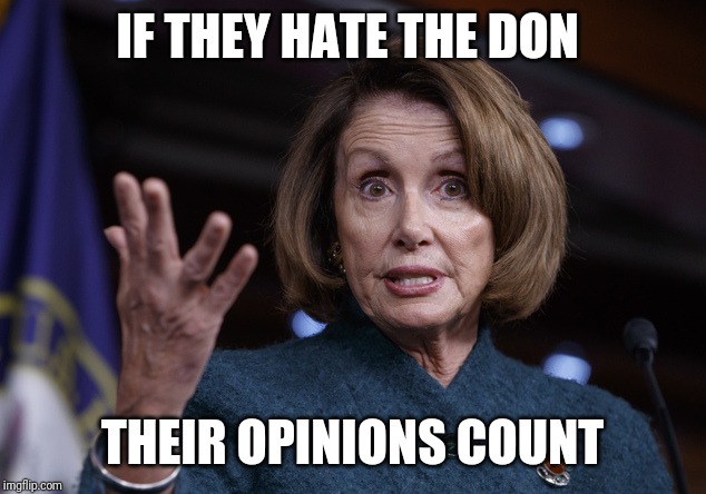 Good old Nancy Pelosi | IF THEY HATE THE DON THEIR OPINIONS COUNT | image tagged in good old nancy pelosi | made w/ Imgflip meme maker