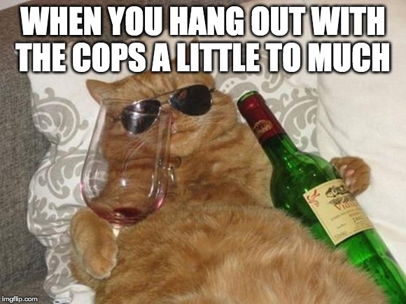 Funny Cat Birthday | WHEN YOU HANG OUT WITH THE COPS A LITTLE TO MUCH | image tagged in funny cat birthday | made w/ Imgflip meme maker