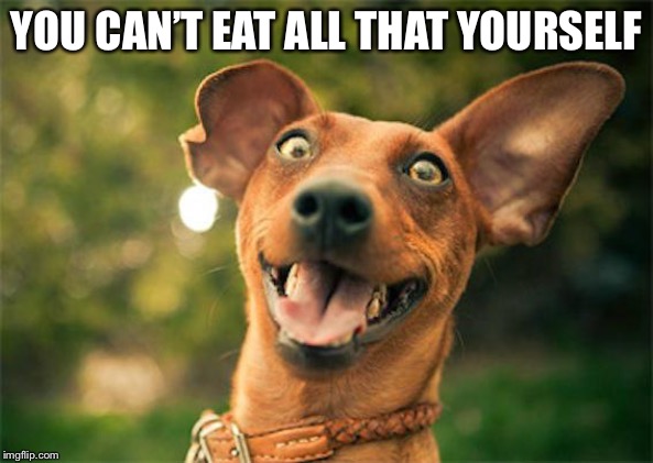 Happy dog | YOU CAN’T EAT ALL THAT YOURSELF | image tagged in happy dog | made w/ Imgflip meme maker