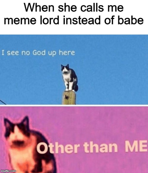 No god up here cat | When she calls me meme lord instead of babe | image tagged in no god up here cat | made w/ Imgflip meme maker