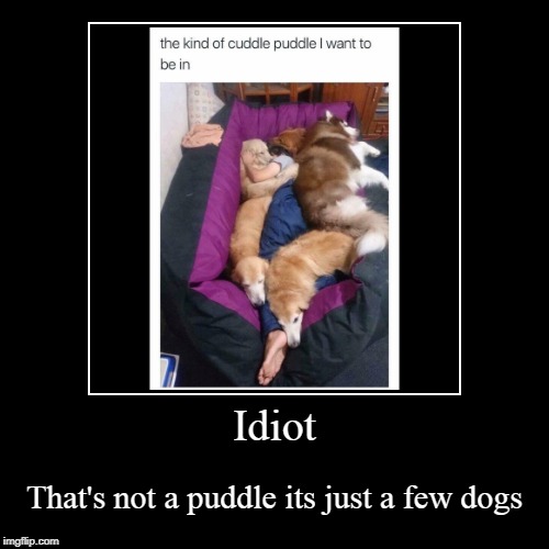 Bro You Just Posted Cringe Imgflip