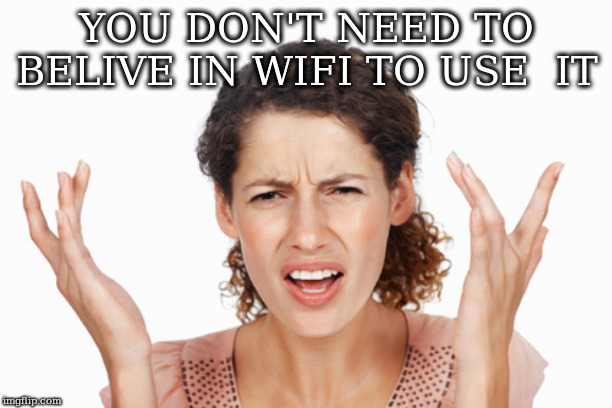 Indignant | YOU DON'T NEED TO BELIVE IN WIFI TO USE  IT | image tagged in indignant | made w/ Imgflip meme maker