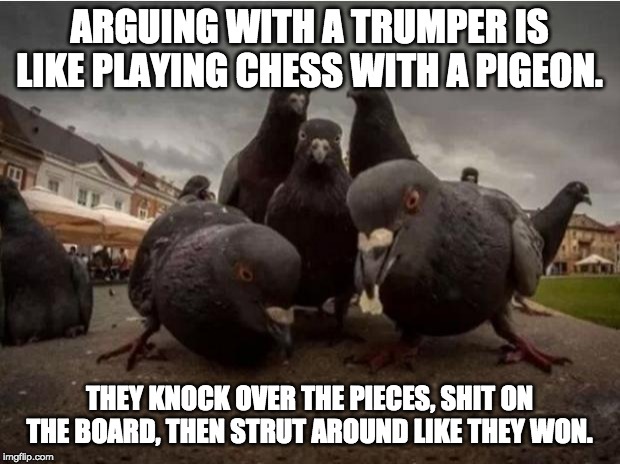 clueless trumpers | ARGUING WITH A TRUMPER IS LIKE PLAYING CHESS WITH A PIGEON. THEY KNOCK OVER THE PIECES, SHIT ON THE BOARD, THEN STRUT AROUND LIKE THEY WON. | image tagged in pidgeons,trump,morons | made w/ Imgflip meme maker