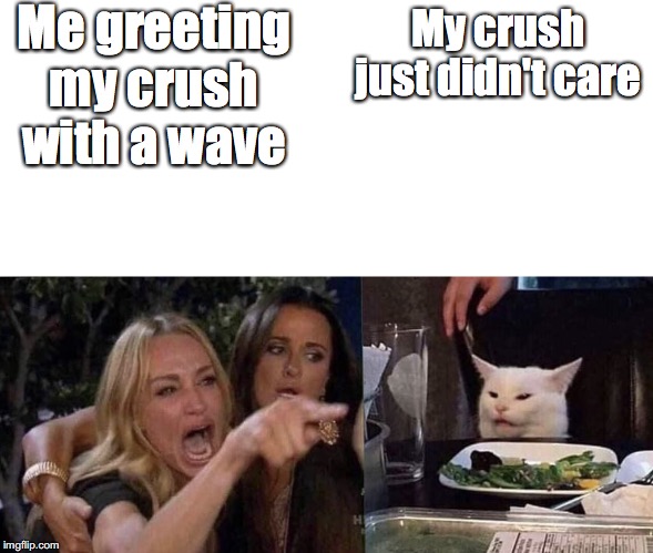 woman yelling at cat | Me greeting my crush with a wave; My crush just didn't care | image tagged in woman yelling at cat | made w/ Imgflip meme maker