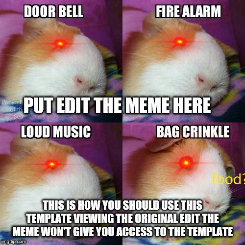 edit the meme template tutorial | PUT EDIT THE MEME HERE; THIS IS HOW YOU SHOULD USE THIS TEMPLATE VIEWING THE ORIGINAL EDIT THE MEME WON'T GIVE YOU ACCESS TO THE TEMPLATE | image tagged in edit the meme,tutorial,funny,memes | made w/ Imgflip meme maker