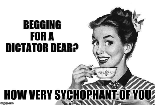 1950s Housewife | BEGGING FOR A DICTATOR DEAR? HOW VERY SYCHOPHANT OF YOU | image tagged in 1950s housewife | made w/ Imgflip meme maker