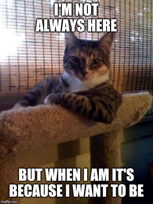 The Most Interesting Cat In The World | I'M NOT ALWAYS HERE; BUT WHEN I AM IT'S BECAUSE I WANT TO BE | image tagged in memes,the most interesting cat in the world | made w/ Imgflip meme maker
