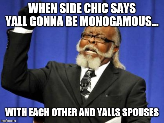Too Damn High Meme | WHEN SIDE CHIC SAYS YALL GONNA BE MONOGAMOUS... WITH EACH OTHER AND YALLS SPOUSES | image tagged in memes,too damn high | made w/ Imgflip meme maker