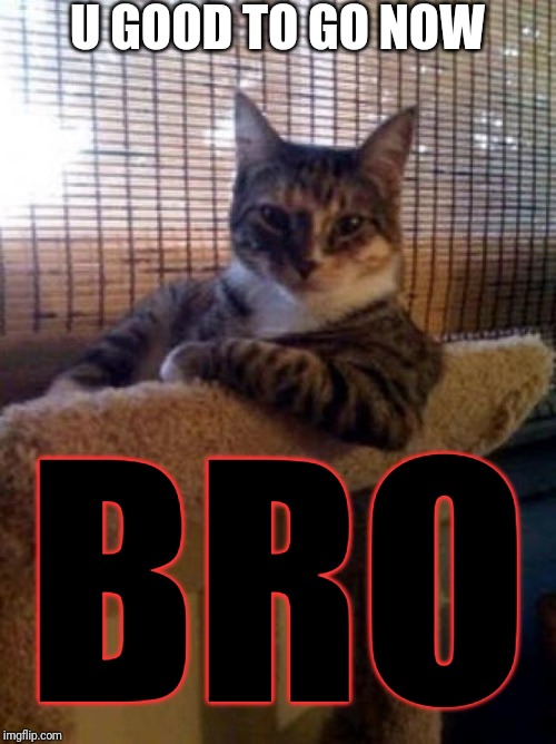 The Most Interesting Cat In The World | U GOOD TO GO NOW; BRO | image tagged in memes,the most interesting cat in the world,funny memes,cats | made w/ Imgflip meme maker