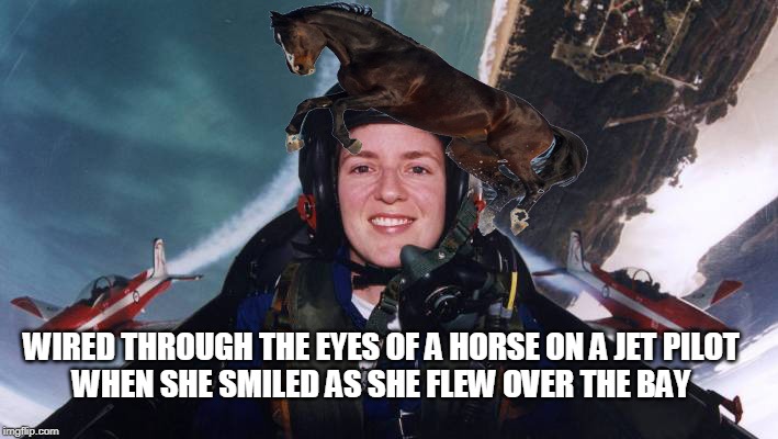 system of a down | WIRED THROUGH THE EYES OF A HORSE ON A JET PILOT
WHEN SHE SMILED AS SHE FLEW OVER THE BAY | image tagged in soad | made w/ Imgflip meme maker