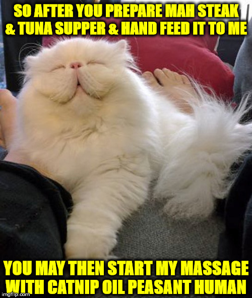 SERVE ME PEASANT | SO AFTER YOU PREPARE MAH STEAK & TUNA SUPPER & HAND FEED IT TO ME; YOU MAY THEN START MY MASSAGE WITH CATNIP OIL PEASANT HUMAN | image tagged in serve me peasant | made w/ Imgflip meme maker