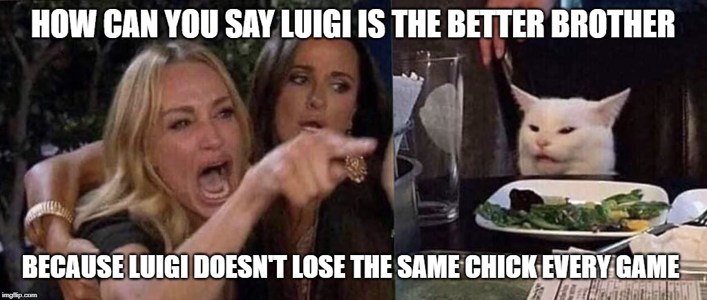 woman yelling at cat | HOW CAN YOU SAY LUIGI IS THE BETTER BROTHER; BECAUSE LUIGI DOESN'T LOSE THE SAME CHICK EVERY GAME | image tagged in woman yelling at cat | made w/ Imgflip meme maker