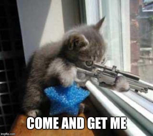 CatSniper | COME AND GET ME | image tagged in catsniper | made w/ Imgflip meme maker