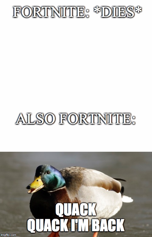 I know I may have copied this but hey, this is Fortnite in a nutshell. | FORTNITE: *DIES*; ALSO FORTNITE:; QUACK QUACK I'M BACK | image tagged in fortnite memes,memes,funny,duck | made w/ Imgflip meme maker