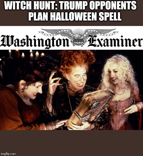 Can't Make This Lunacy Up | WITCH HUNT: TRUMP OPPONENTS 
    PLAN HALLOWEEN SPELL | image tagged in trump 2020 | made w/ Imgflip meme maker