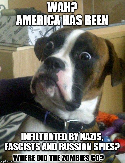 Blankie the confused shocked Dog | WAH? AMERICA HAS BEEN; INFILTRATED BY NAZIS, FASCISTS AND RUSSIAN SPIES? WHERE DID THE ZOMBIES GO? | image tagged in blankie the shocked dog,blankie the confused shocked dog,memes,funny memes | made w/ Imgflip meme maker