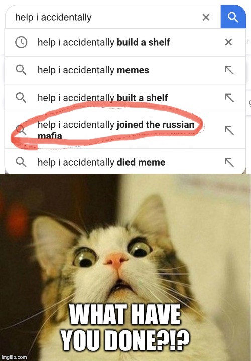 WHAT HAVE YOU DONE?!? | image tagged in memes,scared cat | made w/ Imgflip meme maker