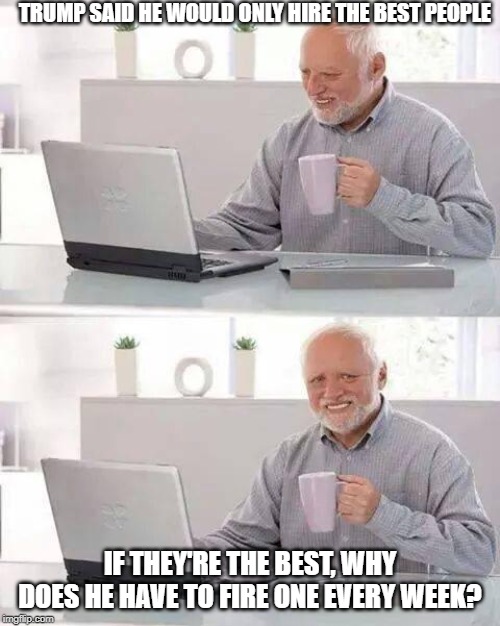He said he'd only hire the best | TRUMP SAID HE WOULD ONLY HIRE THE BEST PEOPLE; IF THEY'RE THE BEST, WHY DOES HE HAVE TO FIRE ONE EVERY WEEK? | image tagged in memes,hide the pain harold,donald trump,donald trump is an idiot,impeach trump | made w/ Imgflip meme maker