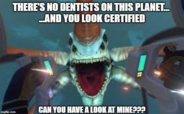 He just needs an appointment... | THERE'S NO DENTISTS ON THIS PLANET... 
...AND YOU LOOK CERTIFIED; CAN YOU HAVE A LOOK AT MINE??? | image tagged in subnautica,meme | made w/ Imgflip meme maker