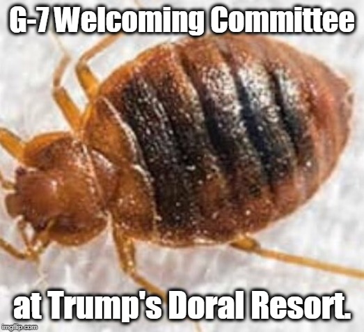 Bedbug | G-7 Welcoming Committee; at Trump's Doral Resort. | image tagged in bedbug,g-7,trump,doral resort | made w/ Imgflip meme maker