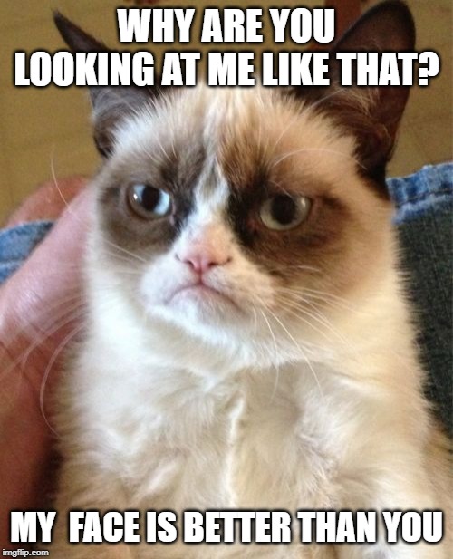 Grumpy Cat | WHY ARE YOU LOOKING AT ME LIKE THAT? MY  FACE IS BETTER THAN YOU | image tagged in memes,grumpy cat | made w/ Imgflip meme maker