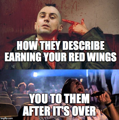 earning your red wings | HOW THEY DESCRIBE EARNING YOUR RED WINGS; YOU TO THEM AFTER IT'S OVER | image tagged in cape fear cigar,deniro,red wings | made w/ Imgflip meme maker
