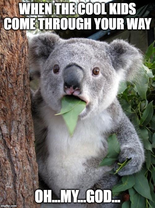 Surprised Koala Meme | WHEN THE COOL KIDS COME THROUGH YOUR WAY; OH...MY...GOD... | image tagged in memes,surprised koala | made w/ Imgflip meme maker
