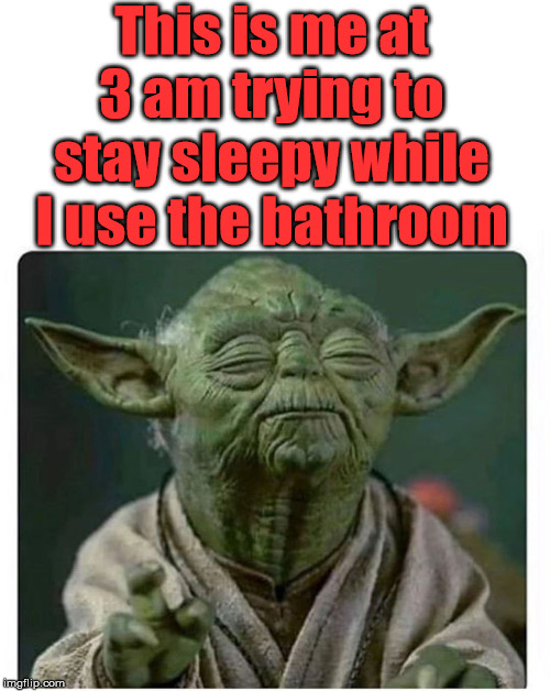 Sleepy, I am | This is me at 3 am trying to stay sleepy while I use the bathroom | image tagged in sleep,bathroom | made w/ Imgflip meme maker