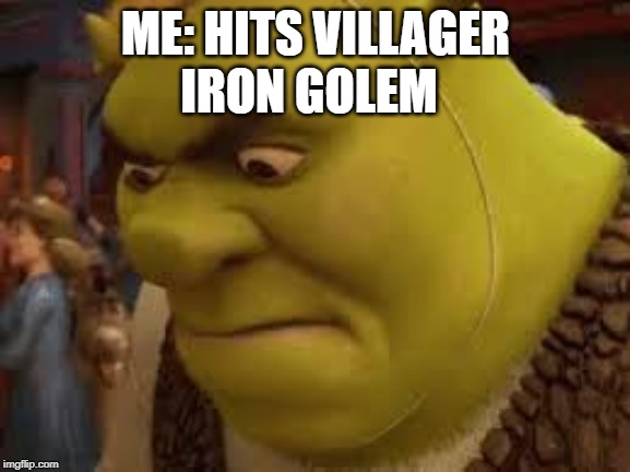 Mad boi | IRON GOLEM; ME: HITS VILLAGER | image tagged in mad boi | made w/ Imgflip meme maker