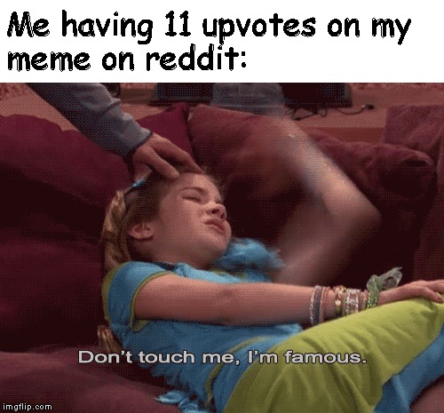 Don't Touch me I'm famous | Me having 11 upvotes on my 
meme on reddit: | image tagged in don't touch me i'm famous | made w/ Imgflip meme maker