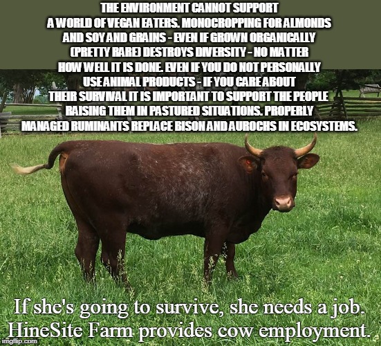 THE ENVIRONMENT CANNOT SUPPORT A WORLD OF VEGAN EATERS. MONOCROPPING FOR ALMONDS AND SOY AND GRAINS - EVEN IF GROWN ORGANICALLY (PRETTY RARE) DESTROYS DIVERSITY - NO MATTER HOW WELL IT IS DONE. EVEN IF YOU DO NOT PERSONALLY USE ANIMAL PRODUCTS - IF YOU CARE ABOUT THEIR SURVIVAL IT IS IMPORTANT TO SUPPORT THE PEOPLE 
RAISING THEM IN PASTURED SITUATIONS. PROPERLY MANAGED RUMINANTS REPLACE BISON AND AUROCHS IN ECOSYSTEMS. If she's going to survive, she needs a job.
HineSite Farm provides cow employment. | made w/ Imgflip meme maker