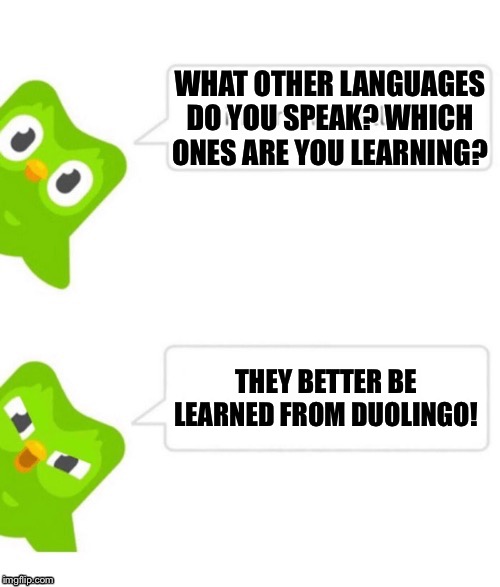 Duo gets mad | WHAT OTHER LANGUAGES DO YOU SPEAK? WHICH ONES ARE YOU LEARNING? THEY BETTER BE LEARNED FROM DUOLINGO! | image tagged in duo gets mad | made w/ Imgflip meme maker