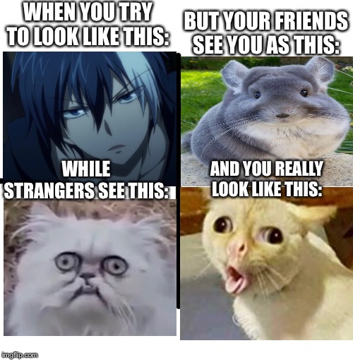 Blank Starter Pack | WHEN YOU TRY TO LOOK LIKE THIS:; BUT YOUR FRIENDS SEE YOU AS THIS:; WHILE STRANGERS SEE THIS:; AND YOU REALLY LOOK LIKE THIS: | image tagged in memes,blank starter pack | made w/ Imgflip meme maker