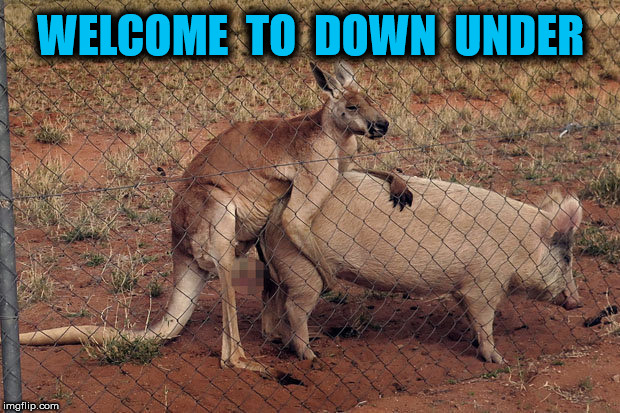 WELCOME  TO  DOWN  UNDER | made w/ Imgflip meme maker