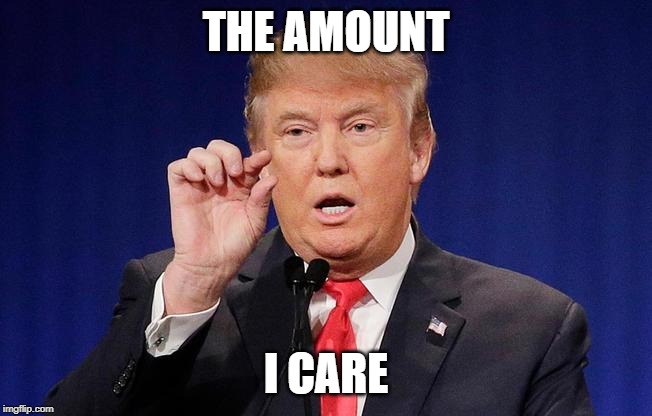 Little trump | THE AMOUNT I CARE | image tagged in little trump | made w/ Imgflip meme maker