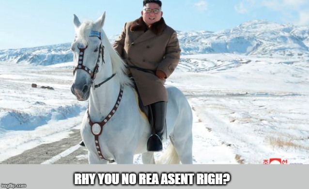 RHY YOU NO REA ASENT RIGH? | made w/ Imgflip meme maker