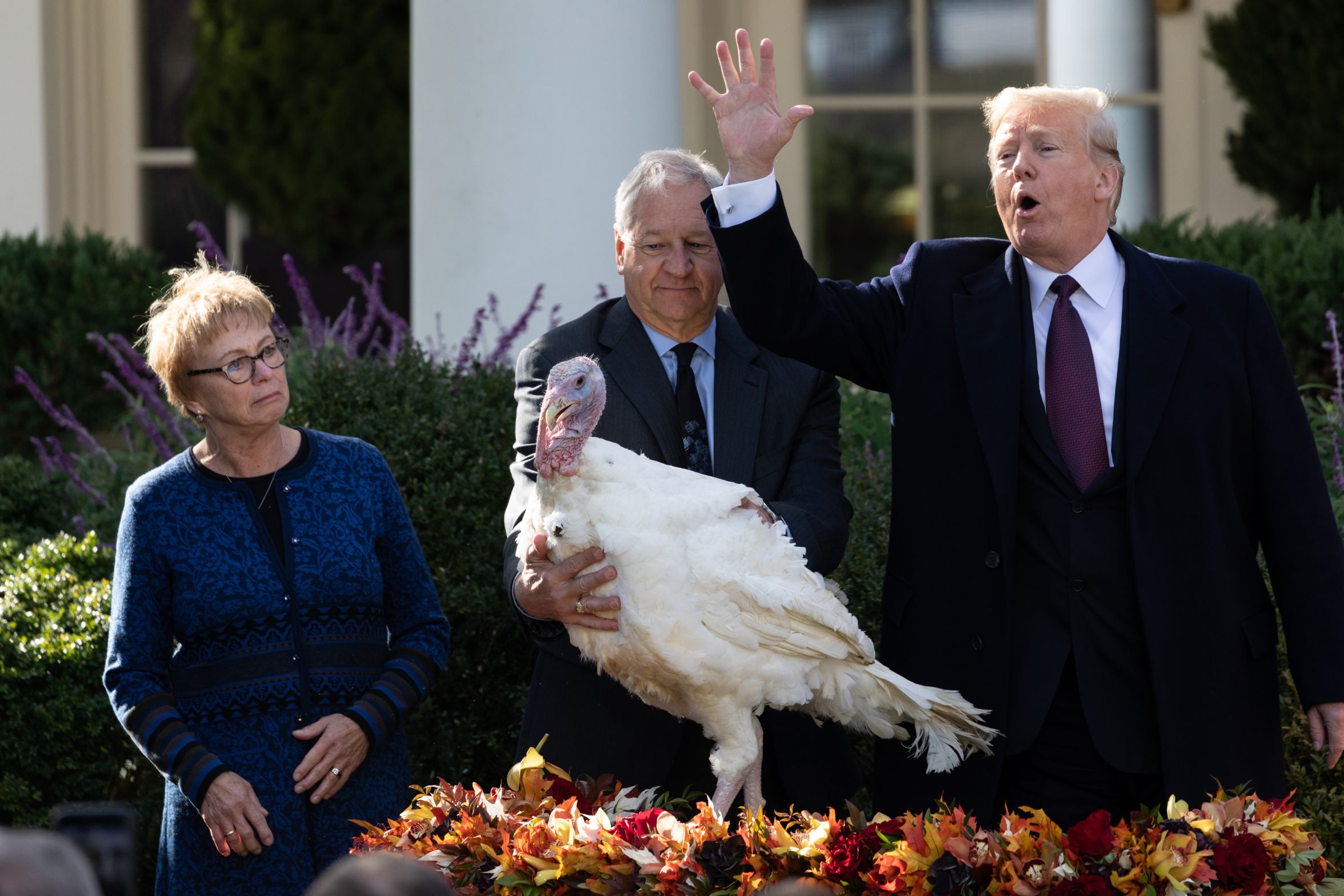 Trump Negotiates With Turkey Blank Meme Template