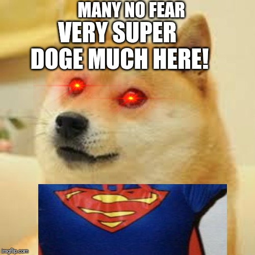 Square Doge | MANY NO FEAR; VERY SUPER  DOGE MUCH HERE! | image tagged in square doge | made w/ Imgflip meme maker