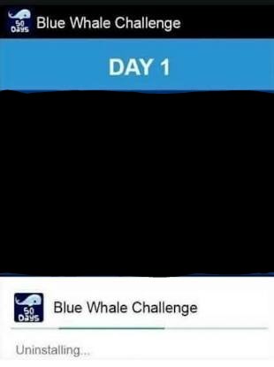 The blue whale challenge Blank Meme Template