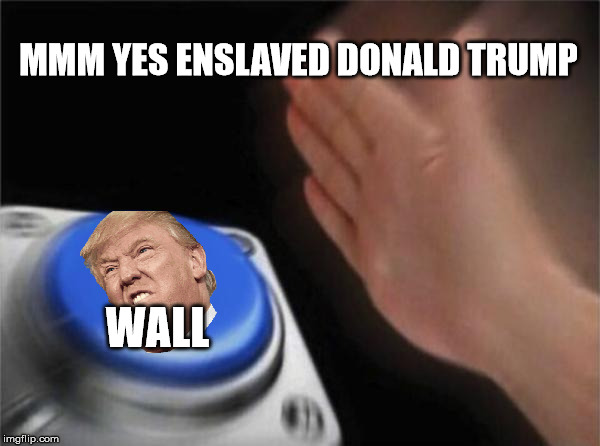 Blank Nut Button | MMM YES ENSLAVED DONALD TRUMP; WALL | image tagged in memes,blank nut button | made w/ Imgflip meme maker