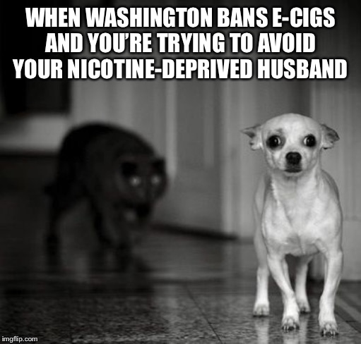 Day 4: The closet has been a cozy home so far. | WHEN WASHINGTON BANS E-CIGS AND YOU’RE TRYING TO AVOID YOUR NICOTINE-DEPRIVED HUSBAND | image tagged in paranoid,memes,funny,juul,e-cigarettes,state of washington | made w/ Imgflip meme maker
