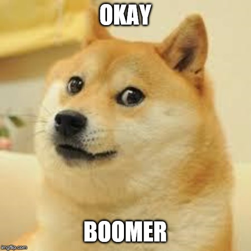 Square Doge | OKAY BOOMER | image tagged in square doge | made w/ Imgflip meme maker