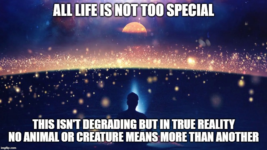 The Meaning OF Value | ALL LIFE IS NOT TOO SPECIAL; THIS ISN'T DEGRADING BUT IN TRUE REALITY NO ANIMAL OR CREATURE MEANS MORE THAN ANOTHER | image tagged in existence,values,life,the meaning of life,space,sudden realization | made w/ Imgflip meme maker