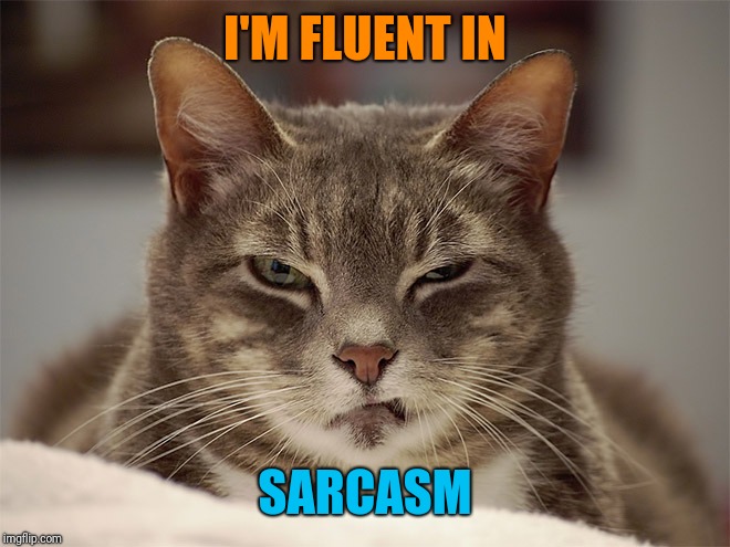 Sarcasm Cat | I'M FLUENT IN SARCASM | image tagged in sarcasm cat | made w/ Imgflip meme maker