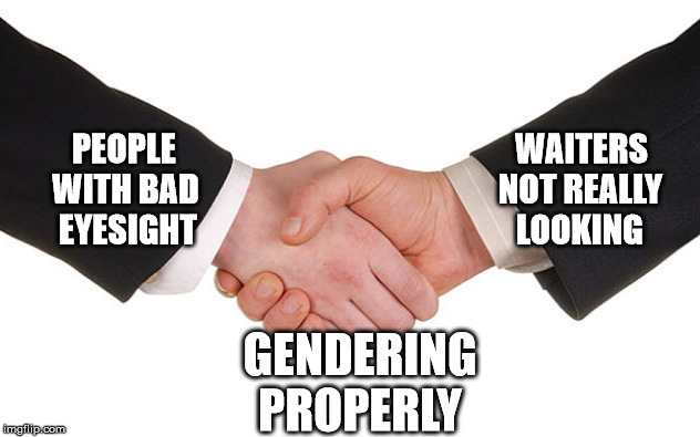 Gendering properly | PEOPLE                                                   WAITERS

WITH BAD                                             NOT REALLY 

 EYESIGHT                                                LOOKING; GENDERING PROPERLY | image tagged in business handshake,trans,gender,pronouns | made w/ Imgflip meme maker