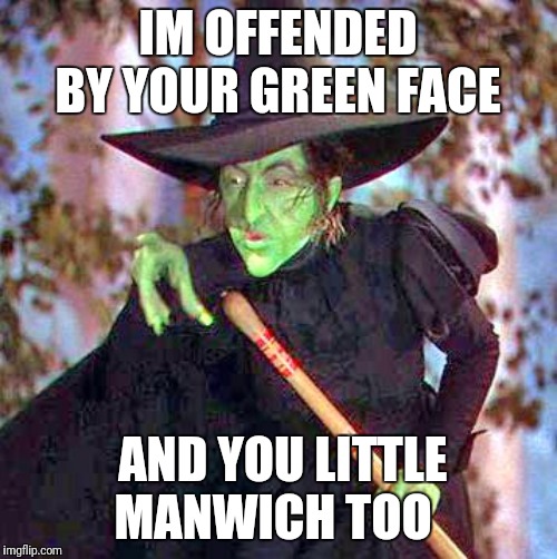 Wicked Witch | IM OFFENDED BY YOUR GREEN FACE AND YOU LITTLE MANWICH TOO | image tagged in wicked witch | made w/ Imgflip meme maker
