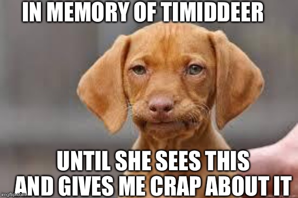 Teach her to take time off | IN MEMORY OF TIMIDDEER; UNTIL SHE SEES THIS AND GIVES ME CRAP ABOUT IT | image tagged in disappointed dog,just a joke | made w/ Imgflip meme maker