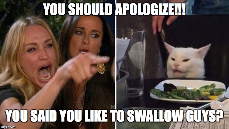 YOU SHOULD APOLOGIZE!!! YOU SAID YOU LIKE TO SWALLOW GUYS? | image tagged in woman yelling at cat | made w/ Imgflip meme maker
