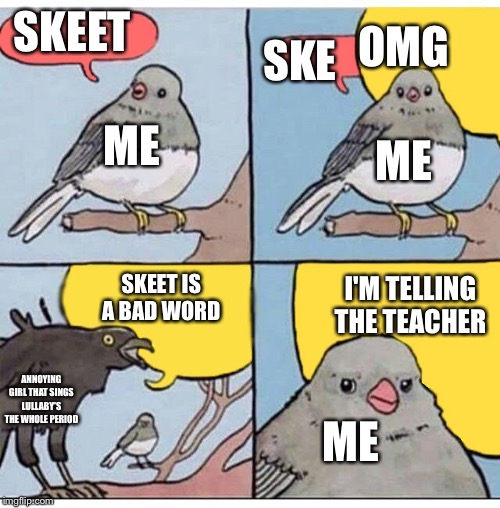 annoyed bird | SKEET; OMG; SKE; ME; ME; SKEET IS A BAD WORD; I'M TELLING THE TEACHER; ANNOYING GIRL THAT SINGS LULLABY'S THE WHOLE PERIOD; ME | image tagged in annoyed bird | made w/ Imgflip meme maker